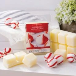 Fragrance Wax Melts By Candle Warmers Etc., Various Fragrance Options -Winter Gifts Market 7693s PeppermintVanSwirl Lifestyle 46357.1654107243.1280.1280 536x536 1