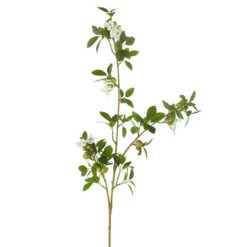 Green Quince Branch, 42" (Pick Up Only)