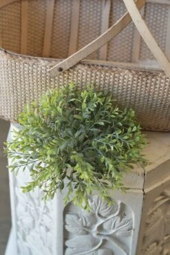 Basil Boxwood Half Sphere, 12"