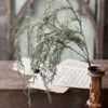 Snowy Weeping Cedar Hanging Branch, 34"