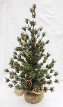 18" Spruce Seedling Tree By Porch View Home -Winter Gifts Market PHDXMA220123