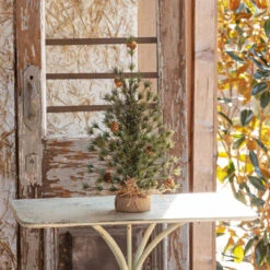 24" Spruce Seedling Tree By Porch View Home -Winter Gifts Market PHDXMA220123 1 8a2c151c 0f5d 4cf5 af49 e92a2805c95d