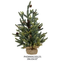 18" Balsam Fir Seedling Tree By Porch View Home -Winter Gifts Market PHDXMA220125 2