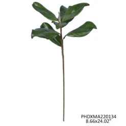 Magnolia Leaves Stem, 24" By Porch View Home (Pick Up Only) -Winter Gifts Market PHDXMA220134 2