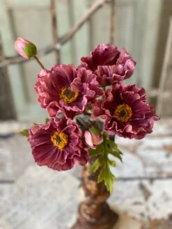 Poppy Bundle, Dusk, 13"