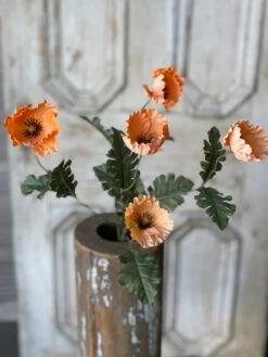 Slumberland Poppy Bush, Sorbet, 30"