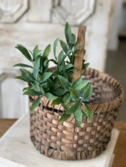 Velvety Sage Pick, 15"