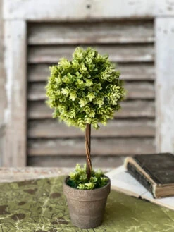 Shasta Hops Topiary, 15" (Pick Up Only)