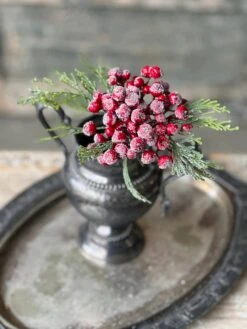 Icy Berry & Cedar Pick, Red, 10” 6 Icy Berry & Cedar Pick, Red, 10” -Winter Gifts Market XBR365102