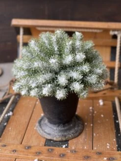 Snowscape Pine Half Sphere, 9.5"