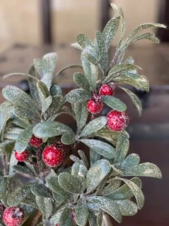 Crystalline Mistleberry Spray, 22" -Winter Gifts Market XBR79603