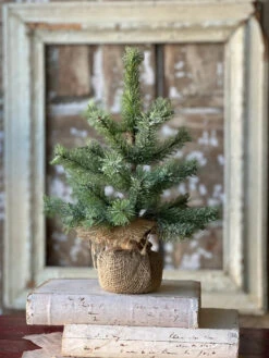 Icy Rocky Mountain Pine Tree, 12"