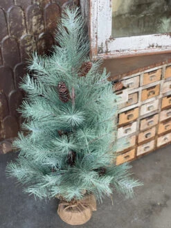 36" Shining Grandview Pine Tree (Pick Up Only)