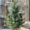 3' Whitley Pine Tree