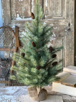 3' Whitley Pine Tree