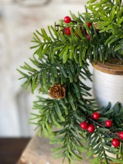 Cardinal Valley Candle Ring, 11" -Winter Gifts Market XP807333