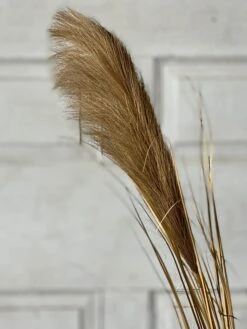 Golden Grain Stem, 42" (Pick Up Only) -Winter Gifts Market XSQ87503