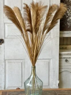 Golden Grain Stem, 42" (Pick Up Only) -Winter Gifts Market XSQ87504