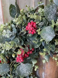 Harlequin Eucalyptus Hanging Bush, 31" -Winter Gifts Market XVP9689 5fe1c5f6 e7db 4f1c 8040 367277f49bad