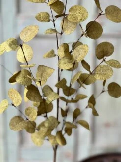 Penny Leaf Spray, Dark Green, 34" (Pick Up Only) -Winter Gifts Market YL10663