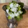 Kalanchoe Bush, White, 9"