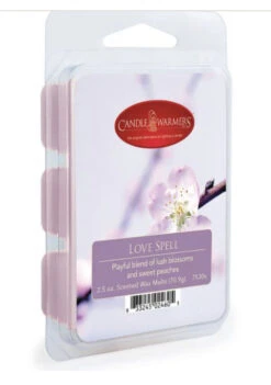Fragrance Wax Melts By Candle Warmers Etc., Various Fragrance Options -Winter Gifts Market image 049ed4f5 0e1f 498f be3f fd033354fdf5