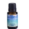 Escape To Paradise Premium Fragrance Oil 15 Ml By Airome'