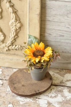 Hello Sunshine Pot, Yellow, 7”