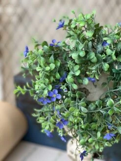 Heart’s Ease Candle Ring, Violet, 10” -Winter Gifts Market image 88aaf709 49a8 44f3 bf58 a373b4c776aa