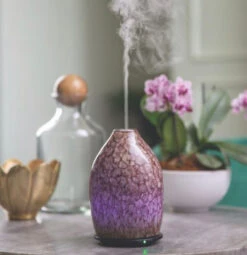 Ultrasonic Essential Oil Diffuser Oyster Shell By Airome' -Winter Gifts Market image c02bb6ef fd38 4d36 ad09 dd2ad8a6926c