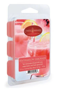 Fragrance Wax Melts By Candle Warmers Etc., Various Fragrance Options -Winter Gifts Market image c4d38a5c cf26 4cd8 bdb5 6a63eaaa0b92