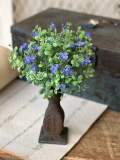 Heart’s Ease Bush, Violet, 11”